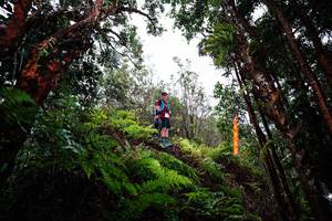 BIB: 
                            <button type="button" onclick="openModal(26204757)" class="btn btn-primary btn-sm float-right btn-popup" data-toggle="modal" data-target=".modal-high-quality">
                        <i class="fas fa-shopping-cart"></i> Add to Cart
                    </button>
                                            <button type="button" onclick="isThisMe(26204757, true)" class="btn btn-success btn-sm float-right btn-popup btn-isme hidden" data-toggle="tooltip" data-placement="bottom" title="นี่คือรูปของคุณใช่ไหม คลิกที่นี่เพื่อเอาเข้าอัลบั้ม">
                        <i class="fas fa-plus"></i> Add to album
                    </button>
                    <button type="button" onclick="isThisMe(26204757, false)" class="btn btn-warning btn-sm float-right btn-popup btn-isnotme hidden">
                        <i class="fas fa-ban"></i> Remove from album
                    </button>